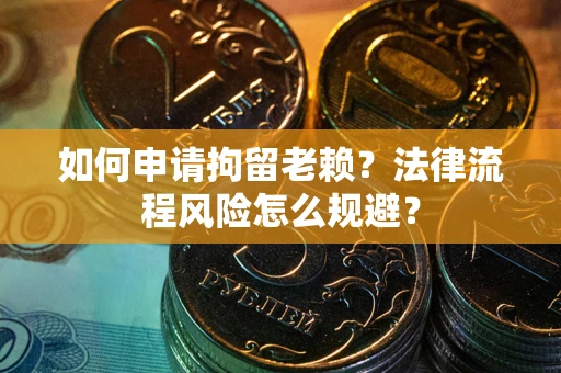 武汉如何申请拘留老赖？法律流程风险怎么规避？