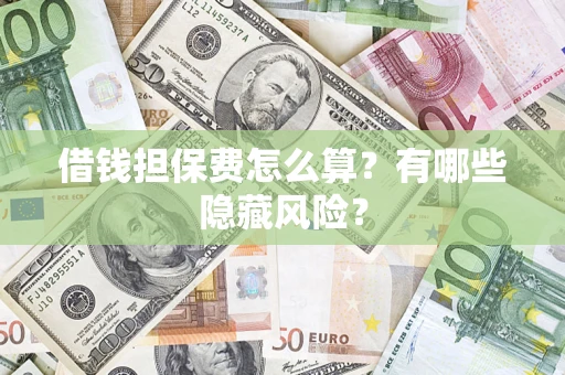 武汉借钱担保费怎么算？有哪些隐藏风险？