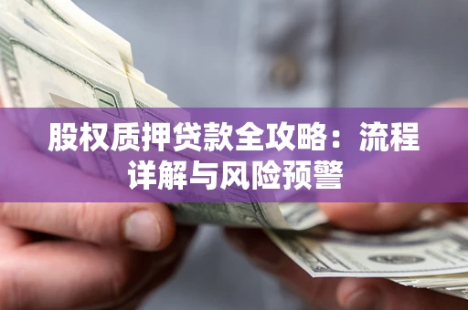 武汉股权质押贷款全攻略：流程详解与风险预警