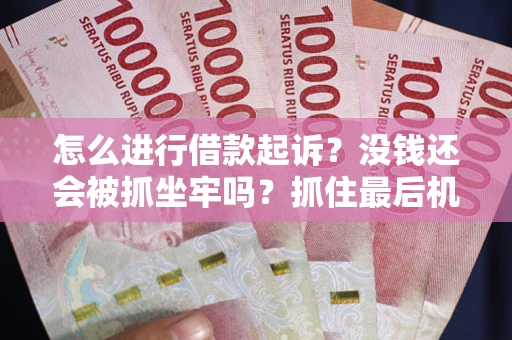 武汉怎么进行借款起诉？没钱还会被抓坐牢吗？抓住最后机会！