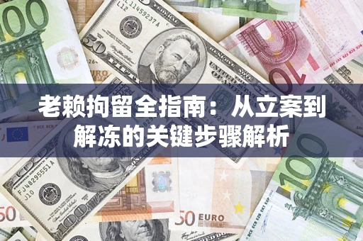 武汉老赖拘留全指南：从立案到解冻的关键步骤解析