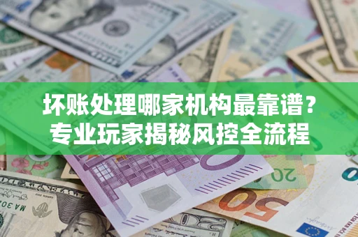 武汉坏账处理哪家机构最靠谱？专业玩家揭秘风控全流程