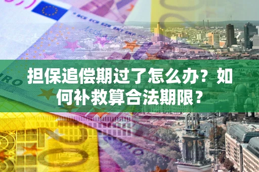武汉担保追偿期过了怎么办？如何补救算合法期限？