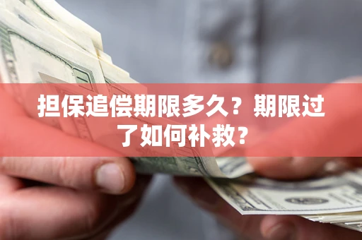 武汉担保追偿期限多久？期限过了如何补救？