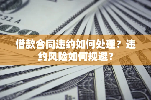 武汉借款合同违约如何处理？违约风险如何规避？