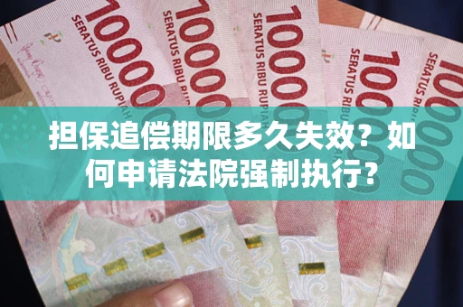 武汉担保追偿期限多久失效？如何申请法院强制执行？