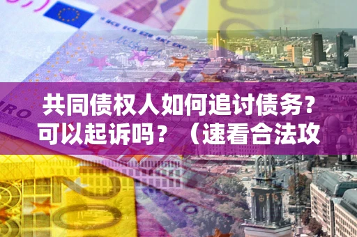武汉共同债权人如何追讨债务？可以起诉吗？（速看合法攻略）