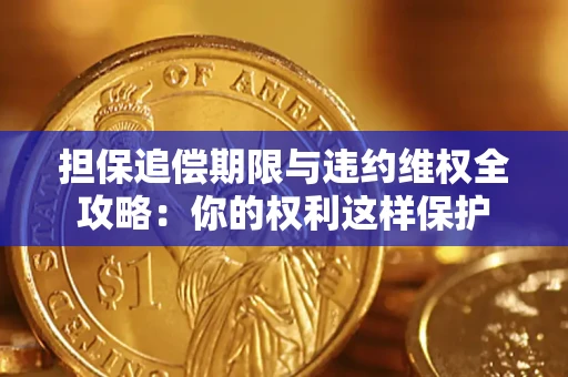 武汉担保追偿期限与违约维权全攻略：你的权利这样保护