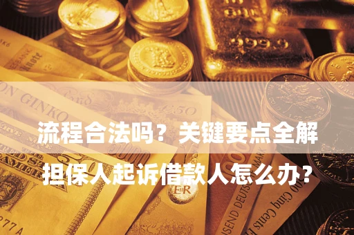 武汉

担保人起诉借款人怎么办？流程合法吗？关键要点全解析