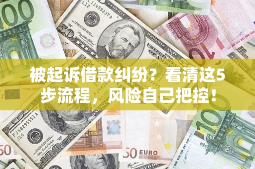 武汉被起诉借款纠纷？看清这5步流程，风险自己把控！