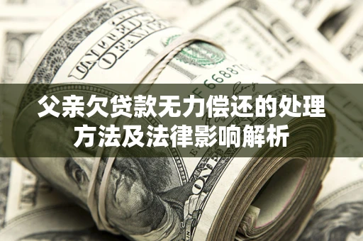 武汉父亲欠贷款无力偿还的处理方法及法律影响解析