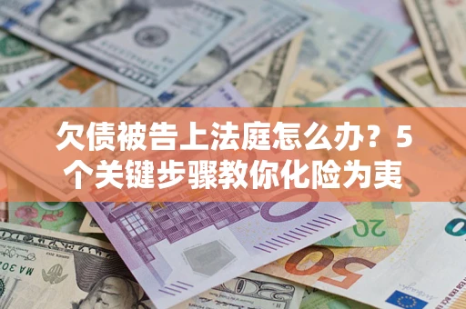 武汉欠债被告上法庭怎么办？5个关键步骤教你化险为夷