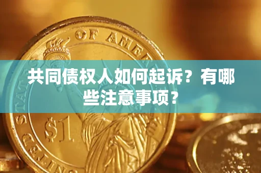 武汉共同债权人如何起诉？有哪些注意事项？